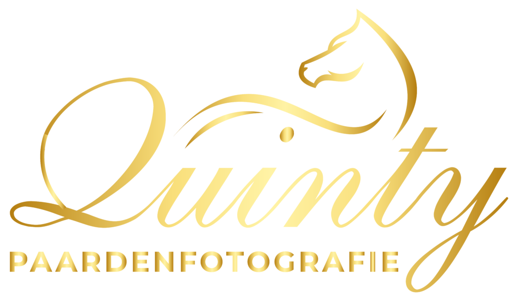 Quinty fotografie